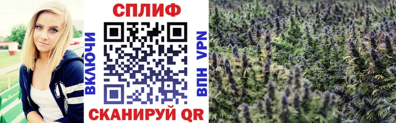 сколько стоит  Асбест  МАРИХУАНА VHQ 